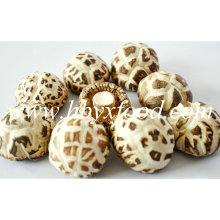 4-5cm Top Quality Dried White Flower Shiitake Mushroom